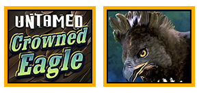 Untamed Crowned Eagle