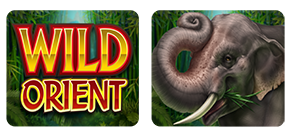 Wild Orient
